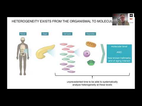 The San Diego Nathan Shock Center: Tackling the Heterogeneity of Aging