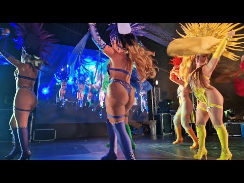 Gres Bota - Imperatriz 1989 @18° Festival De Samba Estarreja 2022 #Samba #dance