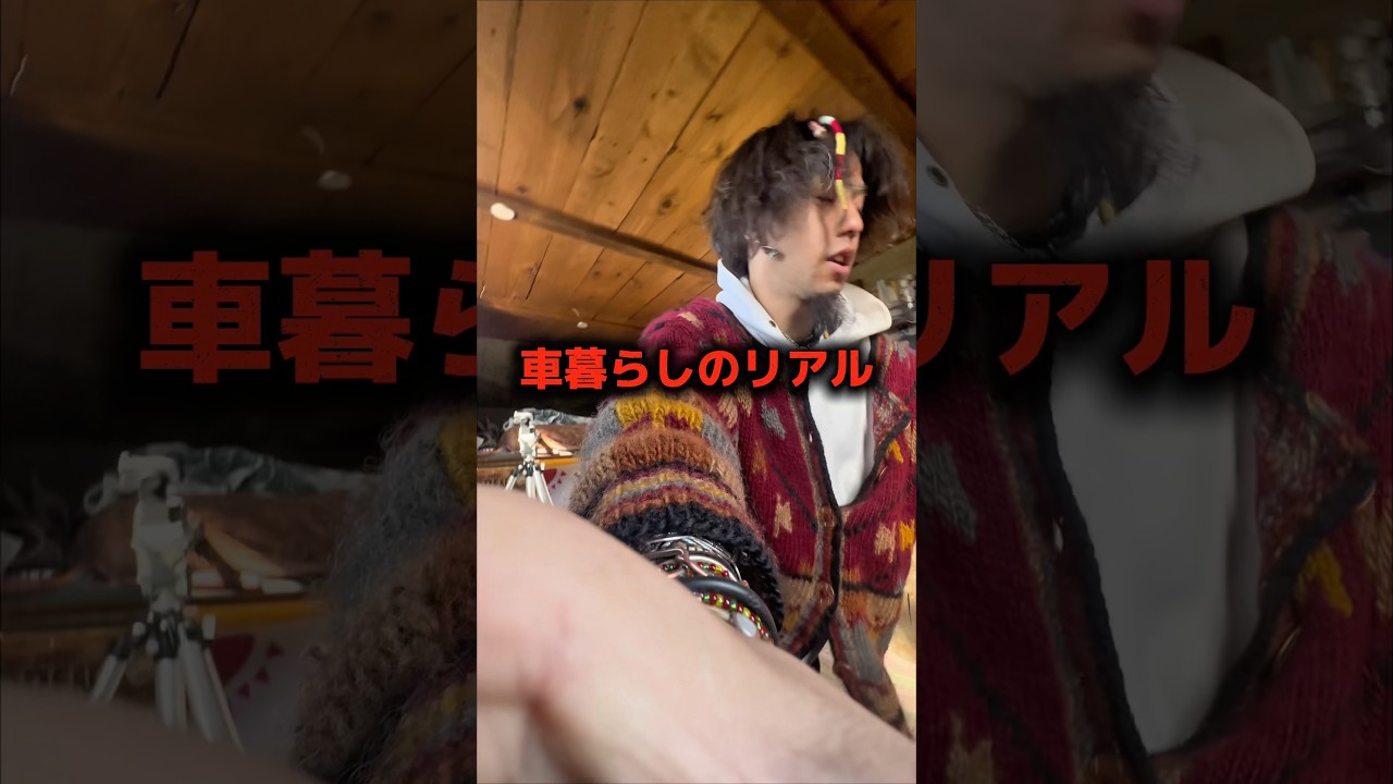 車中泊のリアル #モバイルハウス #キャンプ #アウトドア #automobile #vanlife #自作キャンピングカー #hollyland