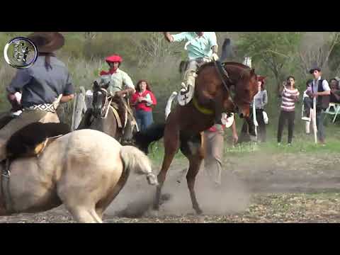 Jineteada en Basto con encimera en Crucesitas 3ra Septiembre 2023 en Nogoyá (Entre Rios)