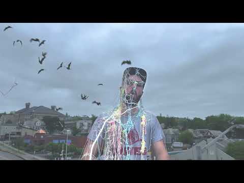 Phil Cohen - Blue Hill (official video)