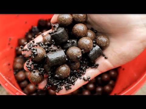 Karpfenangeln mit Pellets & Fisch Boilies