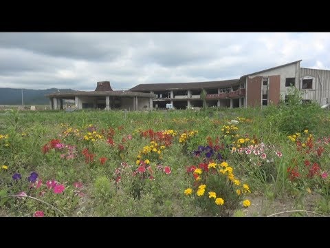 東日本大震災シリーズ66　 震災8年目の夏～宮城・石巻の復興～