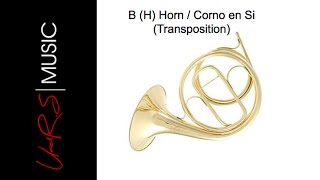 Instrument 80. (H Horn) B Horn / Corno en Si - Uriel Rodríguez S.