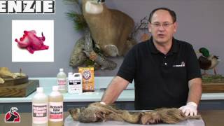MV101 Tanning Part 1  Specimen Care and Hide Preparation HD
