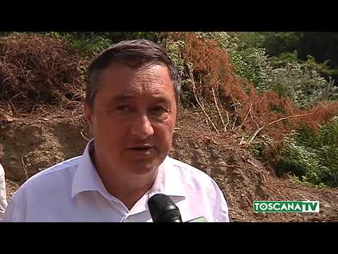 2019-08-29 VAIANO - LA RACCOLTA DIFFERENZIATA VOLA OLTRE IL 72%