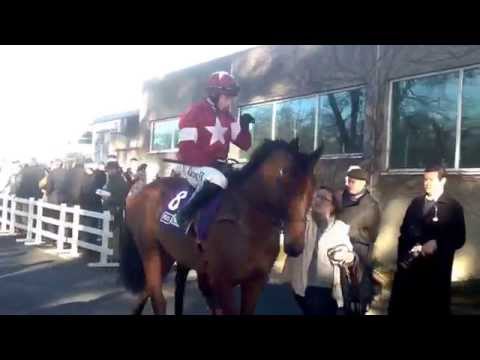 Valseur Lido looks well on his way to the start at Leopardstown..