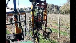 preview picture of video 'Maygars Hill PrePruning 2011'
