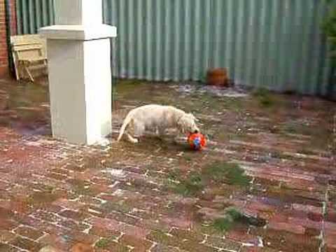 Bend it like Lochlann