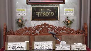 בית הכנסת מוסאיוף • יום שלישי כא' אדר תשפ'ו (בית הכנסת מוסאיוף) - התמונה מוצגת ישירות מתוך אתר האינטרנט יוטיוב. זכויות היוצרים בתמונה שייכות ליוצרה. קישור קרדיט למקור התוכן נמצא בתוך דף הסרטון