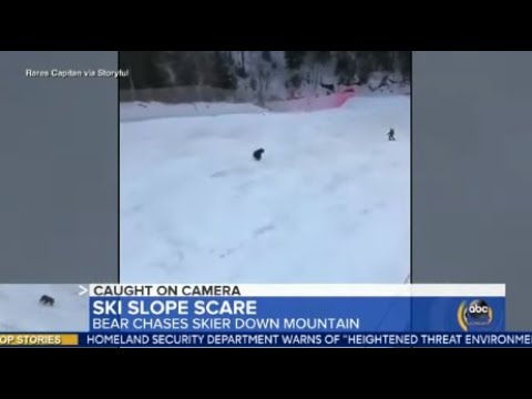 Bear chases skier down mountain in Romania | ABC News