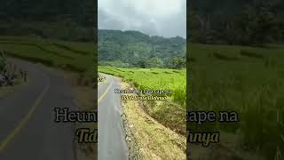 Download lagu Mawar bodas, lagu Sunda nostalgia, mp3 Download lagu Mawar bodas, lagu Sunda nostalgia, mp3