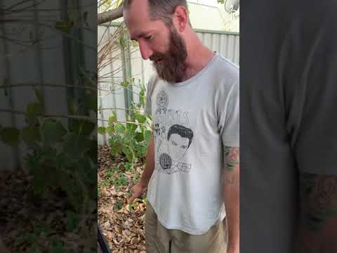 Chris Howe’s Worm Farm