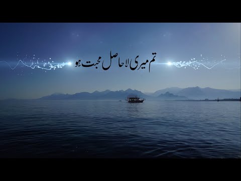 Tum Meri La Hasil Muhabbat Ho 🥀🥀🥀 Deep Line Urdu Poetry ||Abayat Official ||