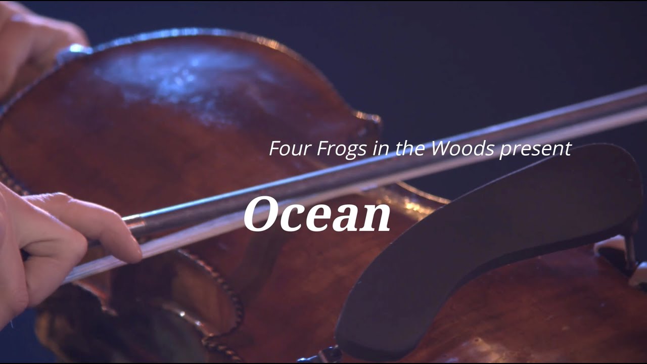 Ocean - Four Frogs in the Woods