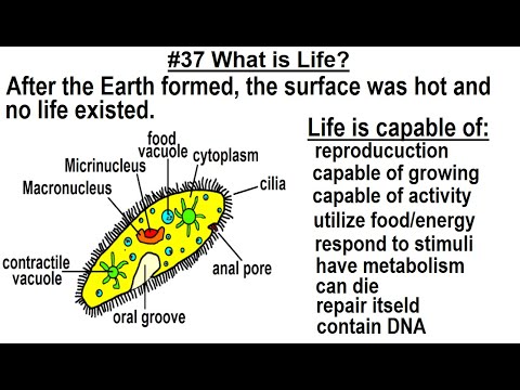 Can You Believe It 27 What is Time