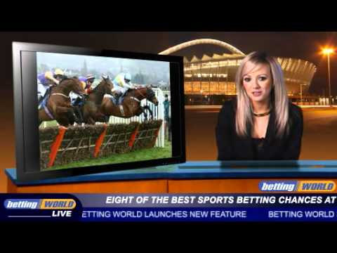 Eight of the best sports betting chances at Flamingo Park