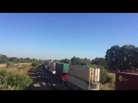 NR83, NR42 and NR120 on 7pm5