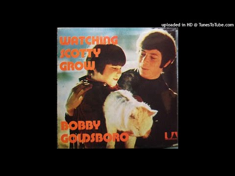 078 - Watching Scotty Grow - Bobby Goldsboro