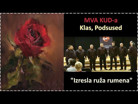 MVA Kud-a Klas - "Izresla ruža rumena"