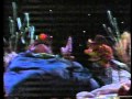 Sesame Street Forgetful Jones Brushes Buster S Teeth