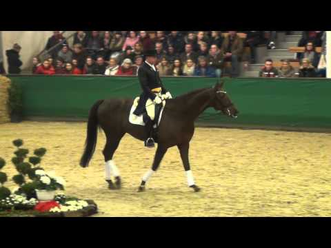 Fiderdance : Fidertanz X Don Schufro X Sandro Hit ( 2009 ) - Handorf 2016