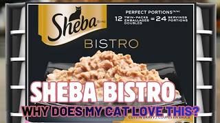 SHEBA Bistro Review: My Cat Is Obsessed!