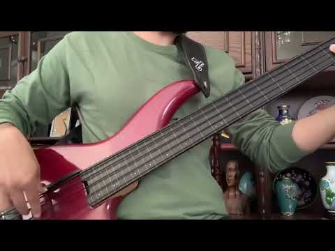 F Bass Fretless bass guitar
