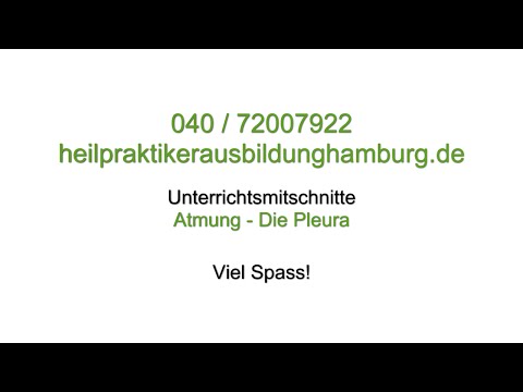 Heilpraktikerausbildung Hamburg – Atmung: Die Pleura