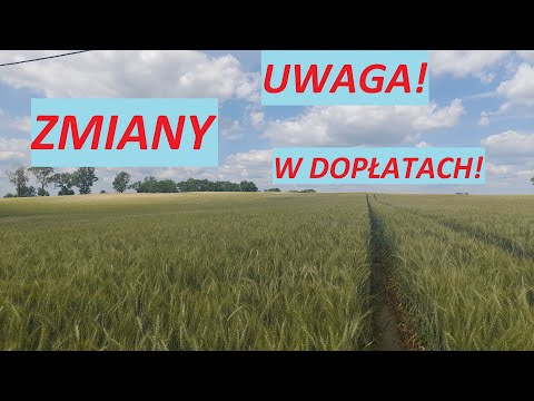 ZMIANY w DOPŁATACH BEZPOŚREDNICH! Jak uzyskać wyższą płatność?