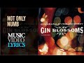 Gin Blossoms - Not Only Numb (Lyrics)