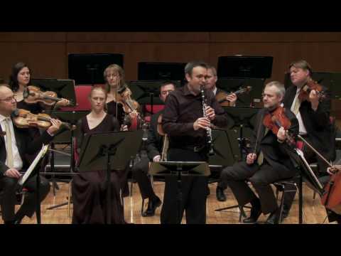 Irish Chamber Orchestra Andante