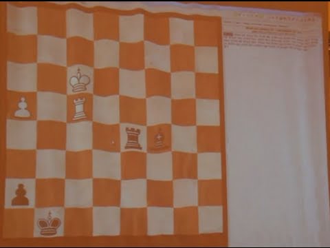 3.11. IM Richard Biolek Jun. - GM Bogdan Lalic 0 - 1