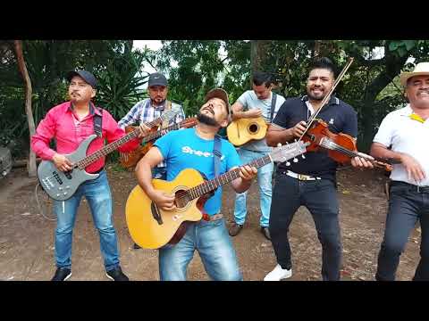 La Novia Del Pajarillo - Esencia De Michoacán - Hermanos Barrera [versión Acústica]