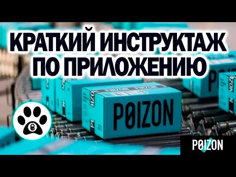 Знакомство с Poizon | Приложение Dewu