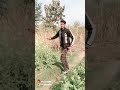 Sachin Kumar Desi Ka Funny Vigo Video