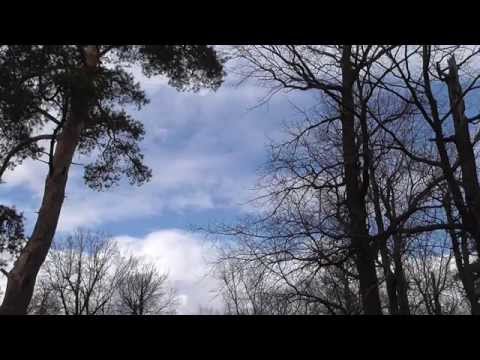 Camcorder Panasonic HC-V230. Timelapse samples