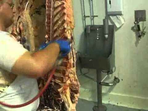 download lagu mp3 mp4 Feather Bone Meat, download lagu Feather Bone Meat gratis, unduh video klip Feather Bone Meat