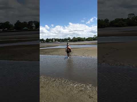 At the beach with dante