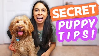 EASIEST WAY TO TRAIN PUPPY 🐶 Stop making it harder on yourself and try this!