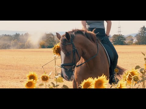 GELÄNDETRAINING - mit Anna & Krümel - Musikvideo Indian summer -