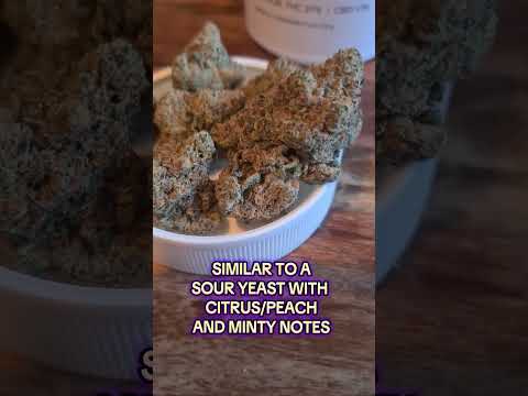 Georgia Pie - Craft Botanics T27 GGP, Medical Cannabis Strains UK #Alternaleaf #Montu