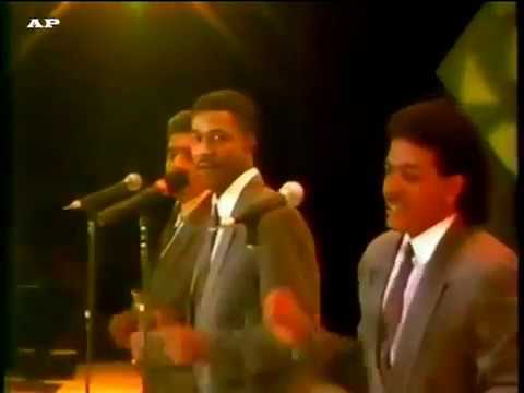 OIGA MIRE VEA  -  GUAYACÁN