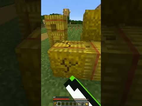 Escaping Friends in Minecraft Short