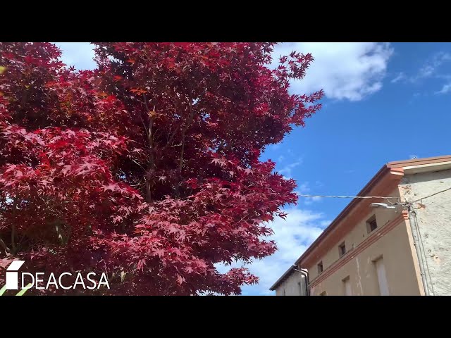 Caiolo in Valtellina (SO), mansardina a pochi Km dal capoluogo