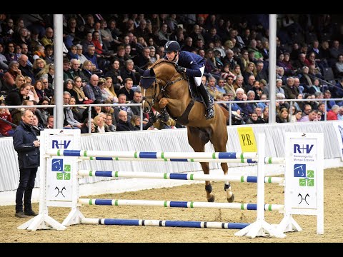 Chacfly PS - Stallion Collection Schockemoehle 2021 ENG