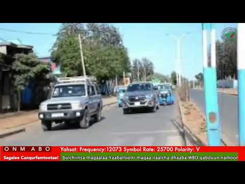 Oduu Ganama ONM-ABO Muddee 23-2025 itti dhiyaadhaa!