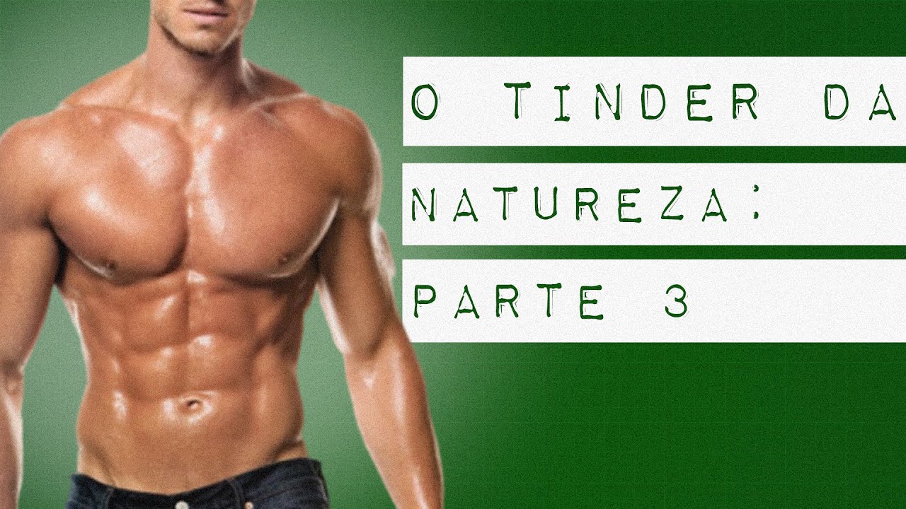 O TINDER DA NATUREZA: PARTE 3