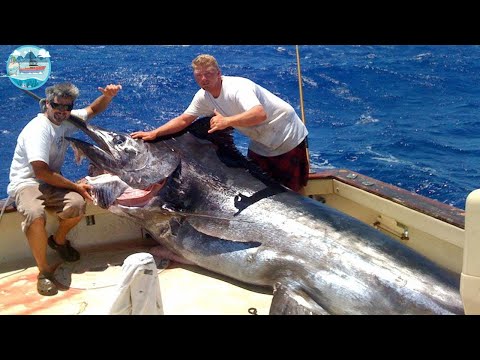Catching Giant Swordfish in The Sea - Amazing Fishing Skills Of Fisherman