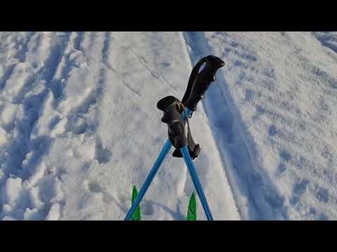 Pierwszy raz na biegówkach w listopadzie 